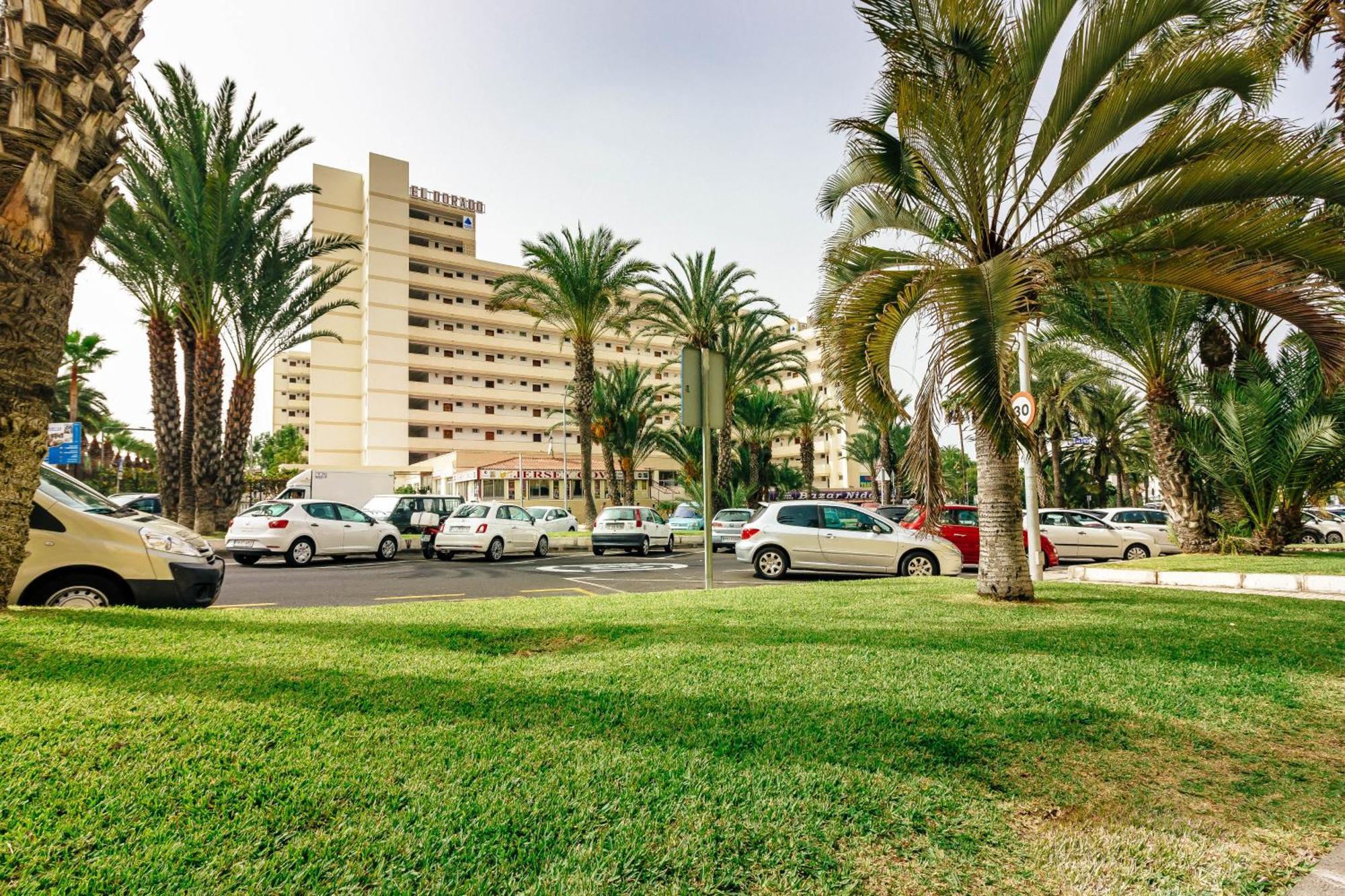 1Bdr El Dorado Ocean View Las Americas 플라야데라스아메리카스 외부 사진
