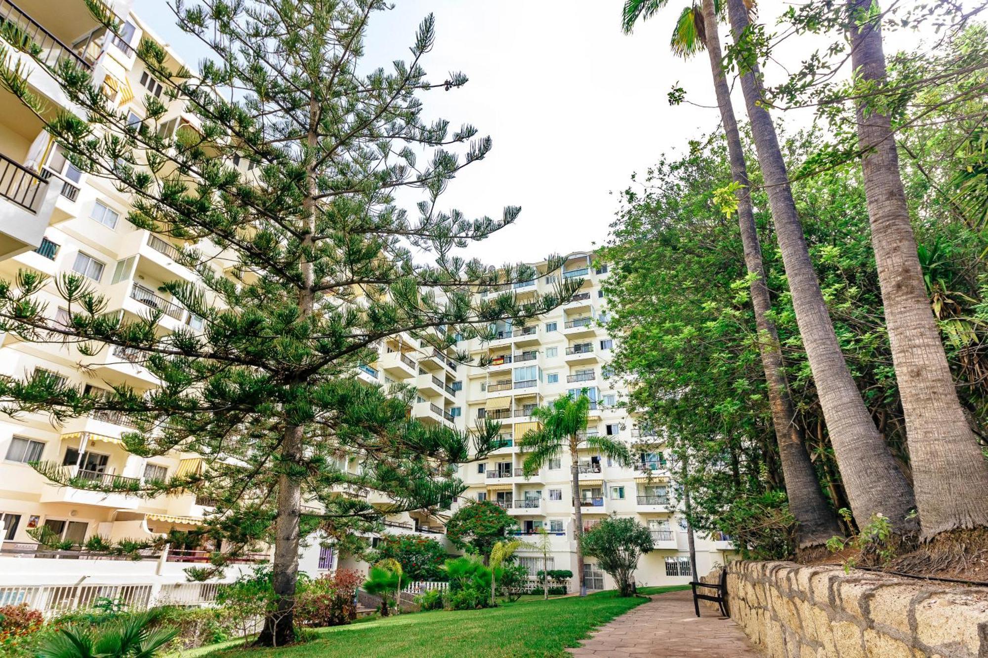 1Bdr El Dorado Ocean View Las Americas 플라야데라스아메리카스 외부 사진